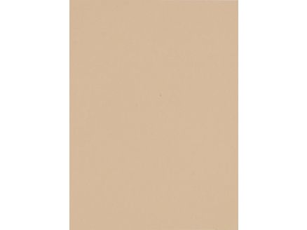S 21 Beige-25 KG