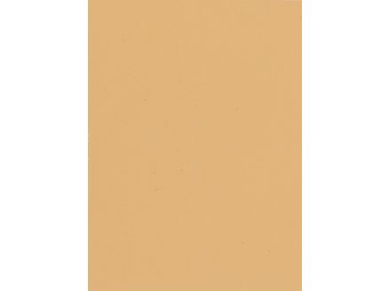 S 3009 Butter Milk-25 KG